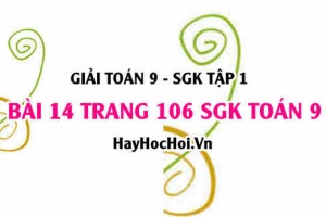 Giải bài 14 trang 106 SGK Toán 9 tập 1